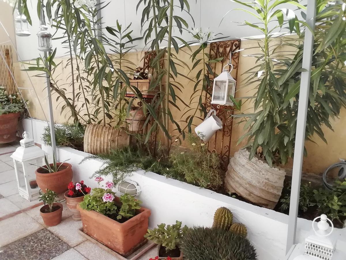 Amazing Semi-Basement Art Apartment Easy Walk To Nafplio Centre Eksteriør billede